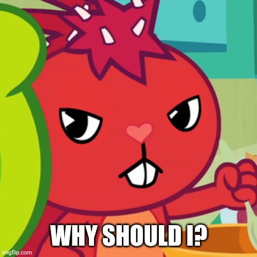 Pissed-off Flaky (HTF) | WHY SHOULD I? | image tagged in pissed-off flaky htf | made w/ Imgflip meme maker