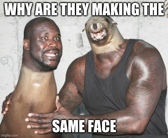 i can't see a difference | WHY ARE THEY MAKING THE; SAME FACE | image tagged in cool | made w/ Imgflip meme maker