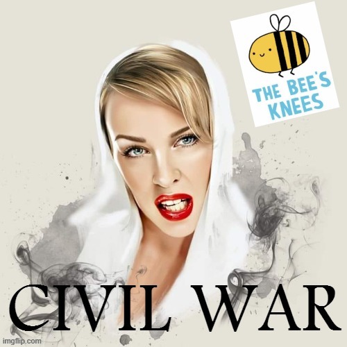 this stream needs some drama so i declare civil war | image tagged in kylie bee's knees civil war | made w/ Imgflip meme maker