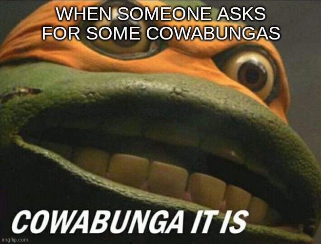 "Cowabunga It Is" Double Meaning | WHEN SOMEONE ASKS FOR SOME COWABUNGAS | image tagged in cowabunga it is | made w/ Imgflip meme maker