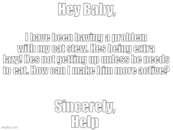 This is real btw! PLEASE HELP | Hey Baby, I have been having a problem with my cat stew. Hes being extra lazy! Hes not getting up unless he needs to eat. How can I make him more active? Sincerely,
Help | image tagged in blank white template | made w/ Imgflip meme maker