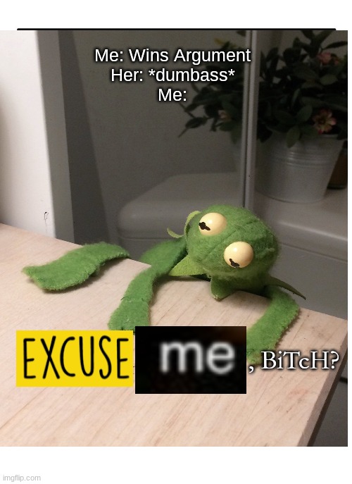 Who doesn't relate? | Me: Wins Argument
Her: *dumbass*
Me:; , BiTcH? | image tagged in kermit | made w/ Imgflip meme maker