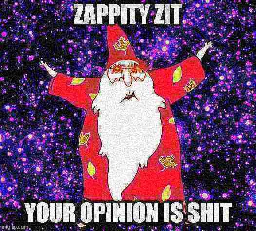 zappity zit your opinion is sh!t | image tagged in zappity zit your opinion is shit | made w/ Imgflip meme maker