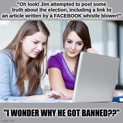 Express TRUTH & FACTS on Facebook -- BANNED! | "Oh look! Jim attempted to post some truth about the election, including a link to an article written by a FACEBOOK whistle blower!"; "I WONDER WHY HE GOT BANNED??" | image tagged in facebook stalking,facebook censorship,election fraud | made w/ Imgflip meme maker