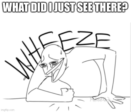 wheeze | WHAT DID I JUST SEE THERE? | image tagged in wheeze | made w/ Imgflip meme maker