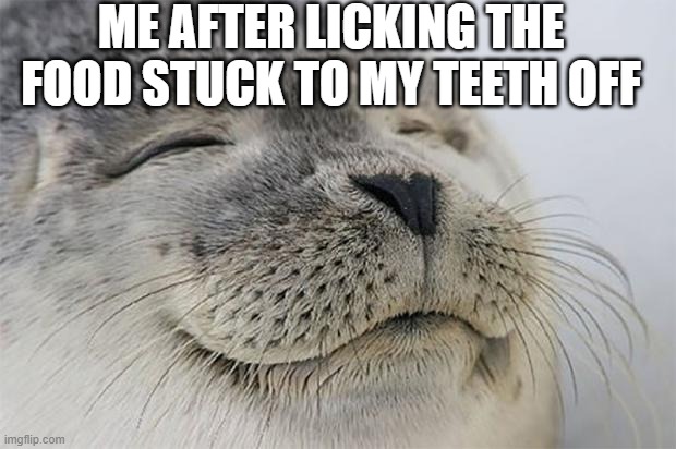 Inner peace | ME AFTER LICKING THE FOOD STUCK TO MY TEETH OFF | image tagged in memes,satisfied seal | made w/ Imgflip meme maker