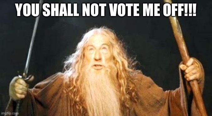 you shall not pass | YOU SHALL NOT VOTE ME OFF!!! | image tagged in you shall not pass | made w/ Imgflip meme maker