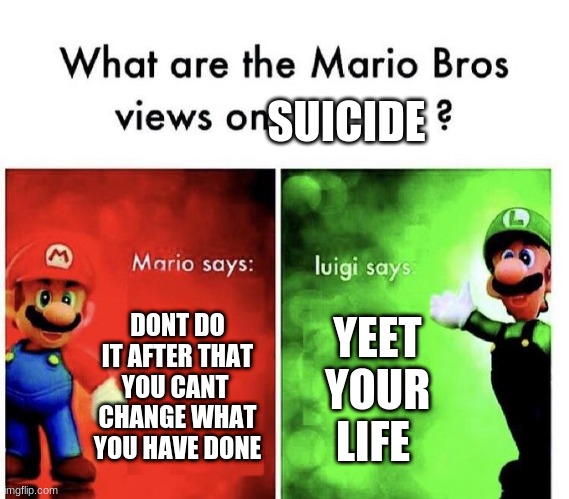 Mario Bros Views | SUICIDE; DONT DO IT AFTER THAT YOU CANT  CHANGE WHAT YOU HAVE DONE; YEET YOUR LIFE | image tagged in mario bros views | made w/ Imgflip meme maker