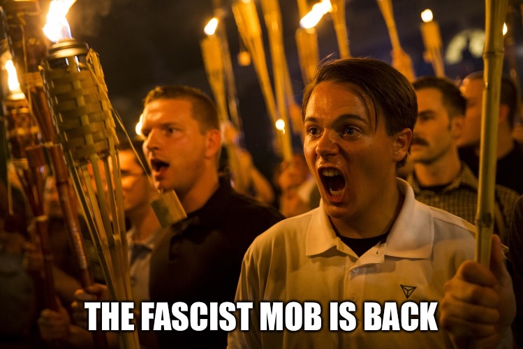 They're back, supporting a stupid Texas Hail Mary | THE FASCIST MOB IS BACK | image tagged in tiki torch nazi | made w/ Imgflip meme maker