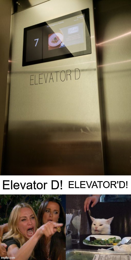 Only Homestar fans might get this joke | Elevator D! ELEVATOR'D! | image tagged in memes,woman yelling at cat | made w/ Imgflip meme maker