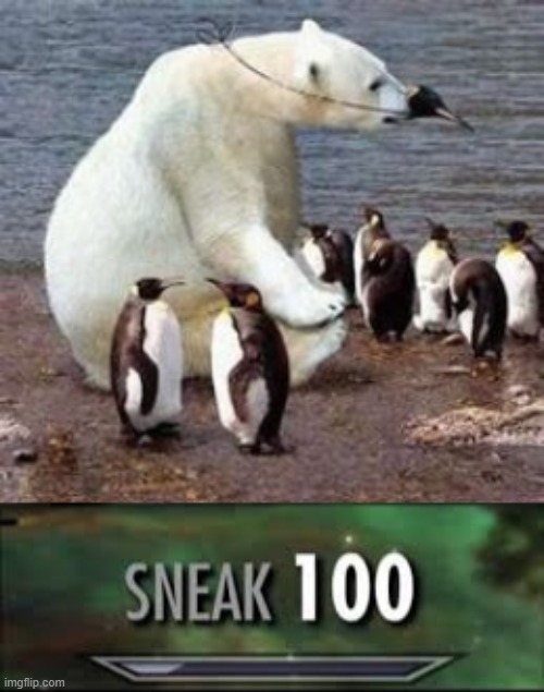 This is a pic of just some penguins ,noting unusual | image tagged in polar bear is in disguise,sneak 100 | made w/ Imgflip meme maker