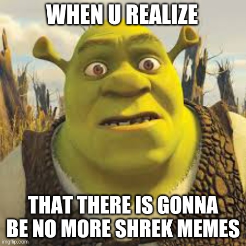 shrek | WHEN U REALIZE; THAT THERE IS GONNA BE NO MORE SHREK MEMES | image tagged in shrek is love | made w/ Imgflip meme maker