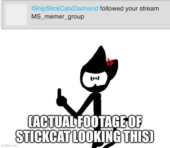 I HAVE A GIRLFRIEND YOU FU- enough, get off my IPad. | (ACTUAL FOOTAGE OF STICKCAT LOOKING THIS) | image tagged in stickcat flipping the bird | made w/ Imgflip meme maker