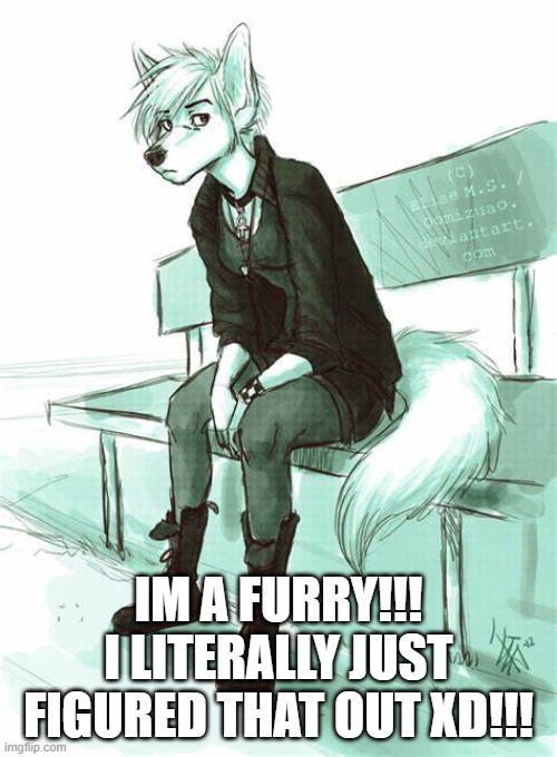 IM A FURRY!!! I LITERALLY JUST FIGURED THAT OUT XD!!! | made w/ Imgflip meme maker