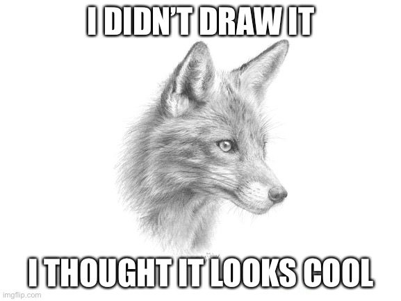 Fox | I DIDN’T DRAW IT; I THOUGHT IT LOOKS COOL | image tagged in fox | made w/ Imgflip meme maker