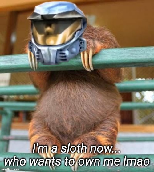 Church Sloth | I'm a sloth now... who wants to own me lmao | image tagged in church sloth | made w/ Imgflip meme maker