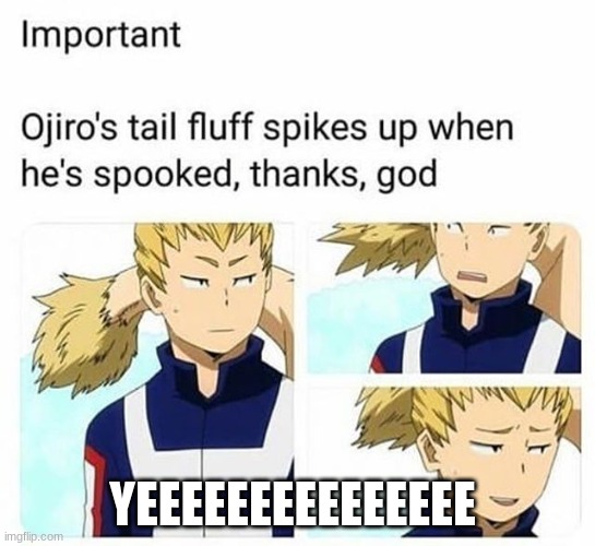 Ojiro tail is fluff | YEEEEEEEEEEEEEEE | image tagged in memes,mha,yeeee | made w/ Imgflip meme maker