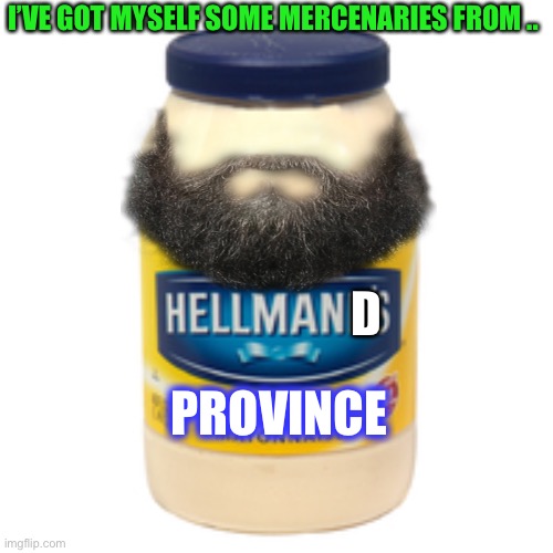 mayonnaise | D PROVINCE I’VE GOT MYSELF SOME MERCENARIES FROM .. | image tagged in mayonnaise | made w/ Imgflip meme maker