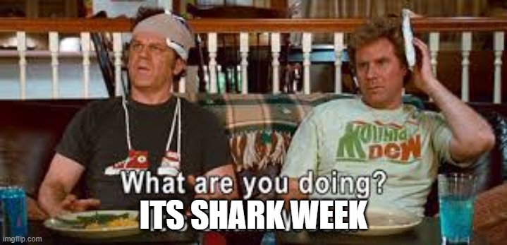 Brenan and Dale are at it again, lol | ITS SHARK WEEK | image tagged in funny,memes | made w/ Imgflip meme maker