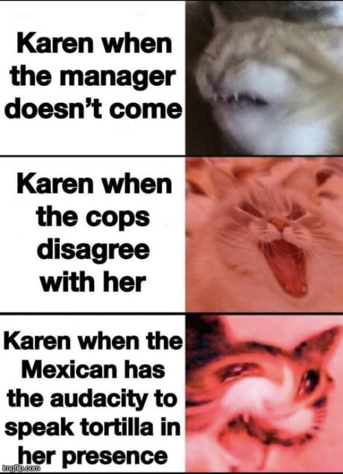 Karens. | made w/ Imgflip meme maker