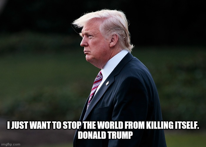 Donald Trump quote | I JUST WANT TO STOP THE WORLD FROM KILLING ITSELF.
   DONALD TRUMP | image tagged in donald trump | made w/ Imgflip meme maker