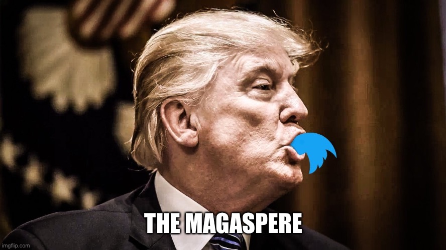 Trump Twitter | THE MAGASPERE | image tagged in trump twitter | made w/ Imgflip meme maker