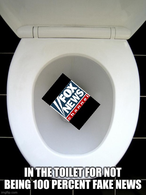TOILET | IN THE TOILET FOR NOT BEING 100 PERCENT FAKE NEWS | image tagged in toilet | made w/ Imgflip meme maker