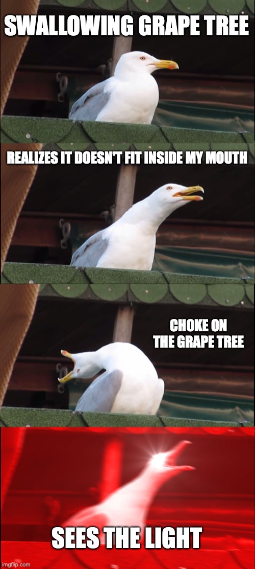 grape | SWALLOWING GRAPE TREE; REALIZES IT DOESN'T FIT INSIDE MY MOUTH; CHOKE ON THE GRAPE TREE; SEES THE LIGHT | image tagged in memes,inhaling seagull | made w/ Imgflip meme maker