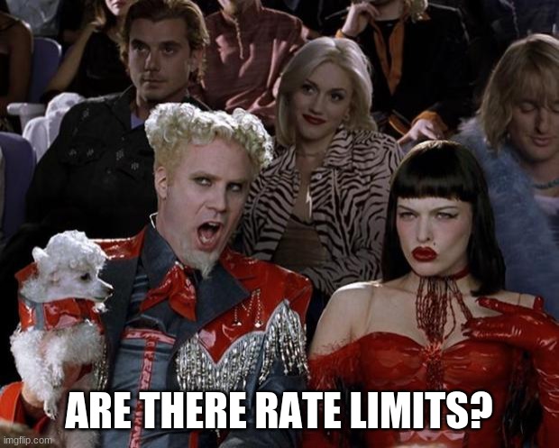 Mugatu So Hot Right Now Meme | ARE THERE RATE LIMITS? | image tagged in memes,mugatu so hot right now | made w/ Imgflip meme maker