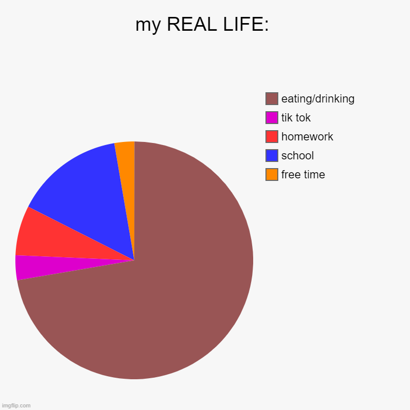 my actual life | my REAL LIFE: | free time, school, homework, tik tok, eating/drinking | image tagged in charts,pie charts | made w/ Imgflip chart maker