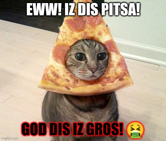 pizza cat | EWW! IZ DIS PITSA! GOD DIS IZ GROS! 🤮 | image tagged in pizza cat | made w/ Imgflip meme maker