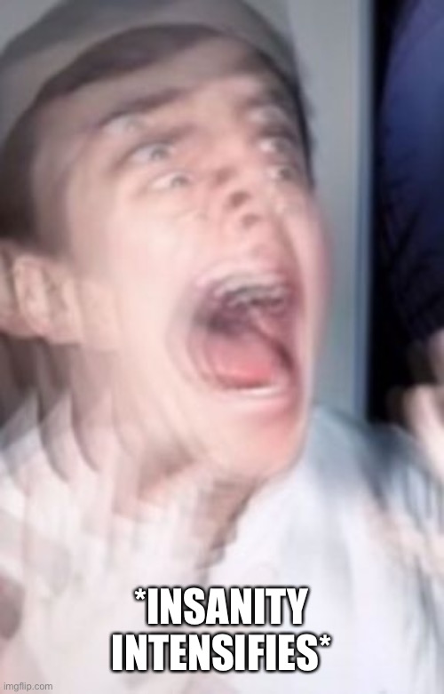 Freaking out | *INSANITY INTENSIFIES* | image tagged in freaking out | made w/ Imgflip meme maker