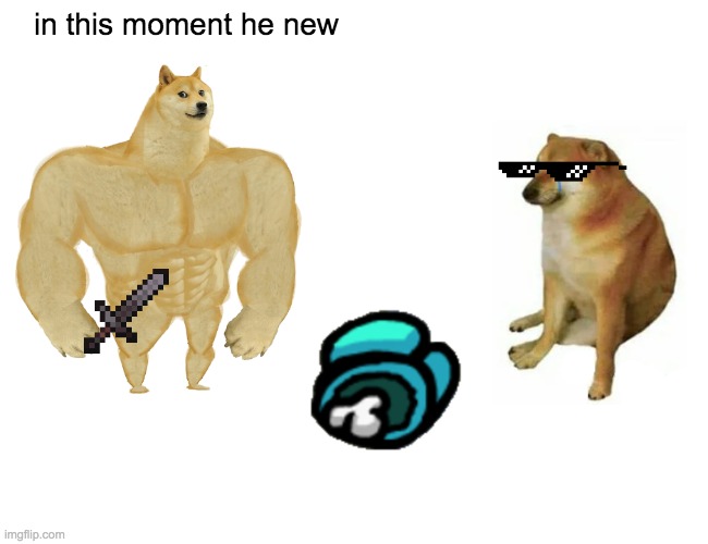 in this moment he new | in this moment he new | image tagged in memes,buff doge vs cheems | made w/ Imgflip meme maker