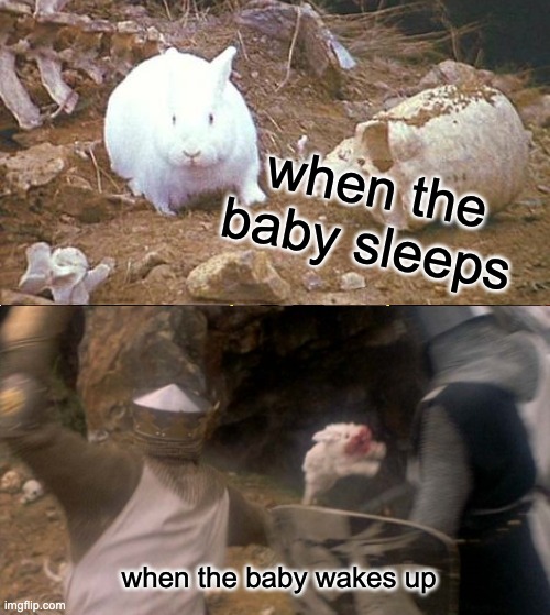 killer baby rabbit | when the baby sleeps; when the baby wakes up | image tagged in monty python | made w/ Imgflip meme maker