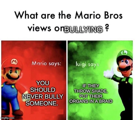huh | BULLYING; YOU SHOULD NEVER BULLY SOMEONE. IF THEY THROW SHADE, PUT THEIR ORGANS IN A BRAID | image tagged in mario bros views | made w/ Imgflip meme maker