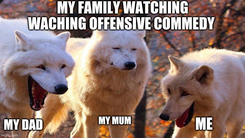 Funny meme | MY FAMILY WATCHING WACHING OFFENSIVE COMMEDY; MY MUM; MY DAD; ME | image tagged in family life | made w/ Imgflip meme maker