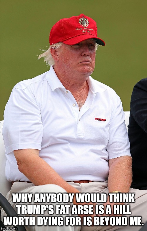 Fat Trumps | WHY ANYBODY WOULD THINK TRUMP'S FAT ARSE IS A HILL WORTH DYING FOR IS BEYOND ME. | image tagged in fat trumps | made w/ Imgflip meme maker