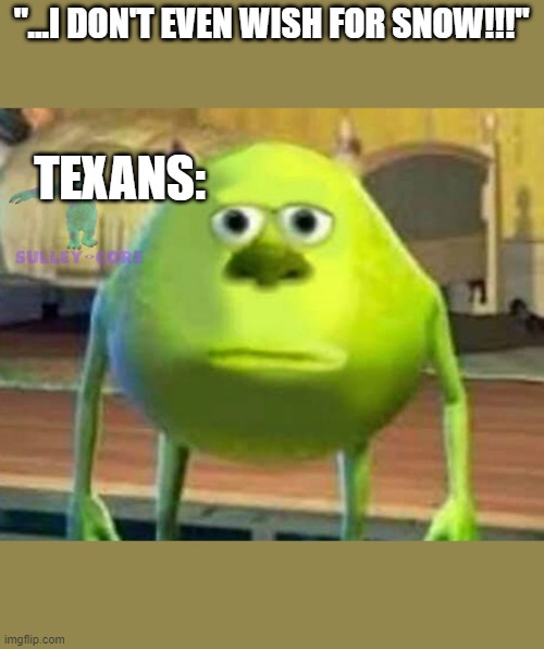 Monsters Inc | "...I DON'T EVEN WISH FOR SNOW!!!"; TEXANS: | image tagged in monsters inc | made w/ Imgflip meme maker