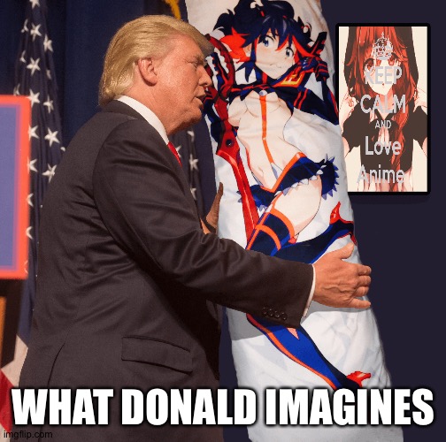 WHAT DONALD IMAGINES | made w/ Imgflip meme maker