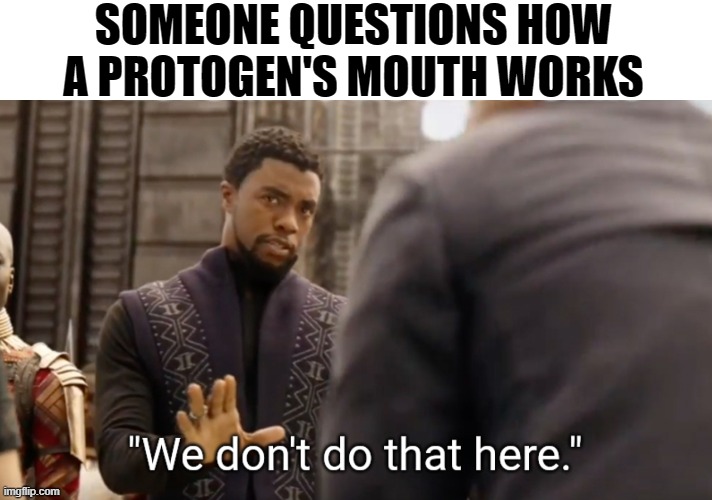 We don't do that here | SOMEONE QUESTIONS HOW A PROTOGEN'S MOUTH WORKS | image tagged in we don't do that here | made w/ Imgflip meme maker