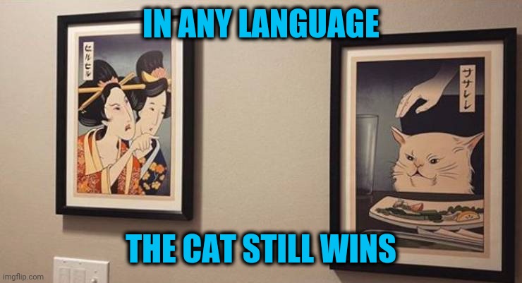 You know it's true | IN ANY LANGUAGE; THE CAT STILL WINS | image tagged in cats | made w/ Imgflip meme maker