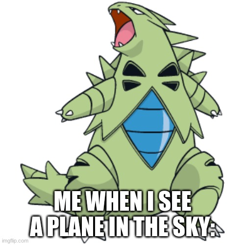 ME WHEN I SEE A PLANE IN THE SKY: | image tagged in pokemon | made w/ Imgflip meme maker