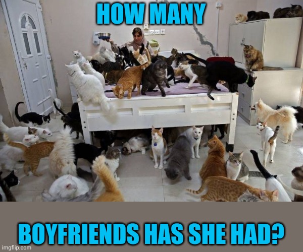 Crazy | HOW MANY; BOYFRIENDS HAS SHE HAD? | image tagged in cats,cat lady | made w/ Imgflip meme maker