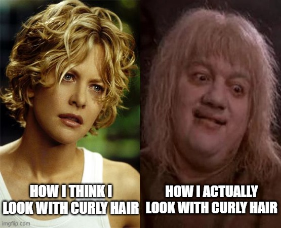Curly Hair Problems | HOW I THINK I LOOK WITH CURLY HAIR; HOW I ACTUALLY LOOK WITH CURLY HAIR | image tagged in albino,meg ryan,curly hair,curly,problems,how i think i look | made w/ Imgflip meme maker