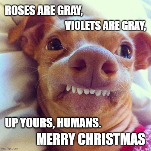 Color My World | ROSES ARE GRAY, VIOLETS ARE GRAY, UP YOURS, HUMANS. MERRY CHRISTMAS | image tagged in merry christmas,christmas,roses are red | made w/ Imgflip meme maker