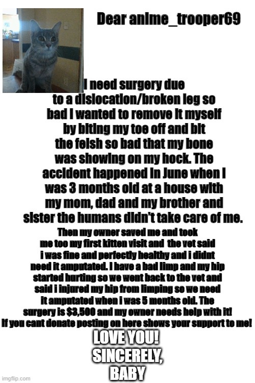 Here is a short part of my story for those who dont know | Dear anime_trooper69; I need surgery due to a dislocation/broken leg so bad i wanted to remove it myself by biting my toe off and bit the felsh so bad that my bone was showing on my hock. The accident happened in June when i was 3 months old at a house with my mom, dad and my brother and sister the humans didn't take care of me. Then my owner saved me and took me too my first kitten visit and  the vet said i was fine and perfectly healthy and i didnt need it amputated. I have a bad limp and my hip started hurting so we went back to the vet and said i injured my hip from limping so we need it amputated when i was 5 months old. The surgery is $3,500 and my owner needs help with it! If you cant donate posting on here shows your support to me! LOVE YOU! 
SINCERELY,
BABY | image tagged in blank white template,cat,kitten,support | made w/ Imgflip meme maker