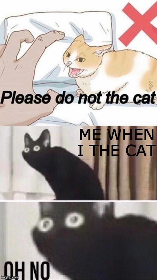If you the cat, I will smacc your dog. | ME WHEN I THE CAT | image tagged in please do not the cat,oh no cat | made w/ Imgflip meme maker