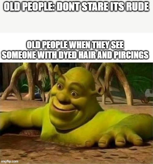 shrek |  OLD PEOPLE: DONT STARE ITS RUDE; OLD PEOPLE WHEN THEY SEE SOMEONE WITH DYED HAIR AND PIRCINGS | image tagged in shrek | made w/ Imgflip meme maker