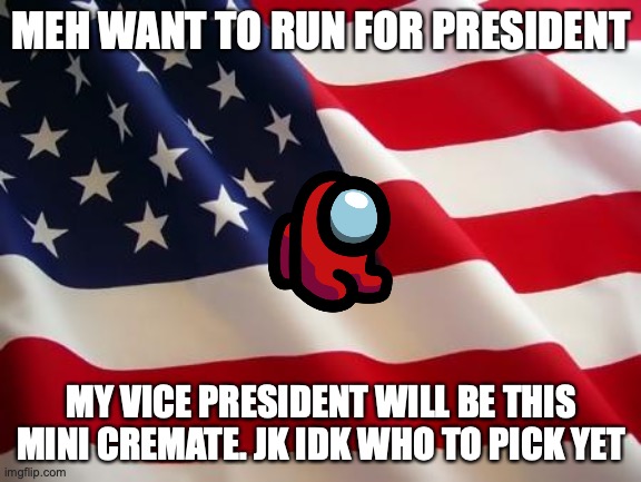 actually can I have a mini cremate as Vice President? | MEH WANT TO RUN FOR PRESIDENT; MY VICE PRESIDENT WILL BE THIS MINI CREMATE. JK IDK WHO TO PICK YET | image tagged in american flag | made w/ Imgflip meme maker