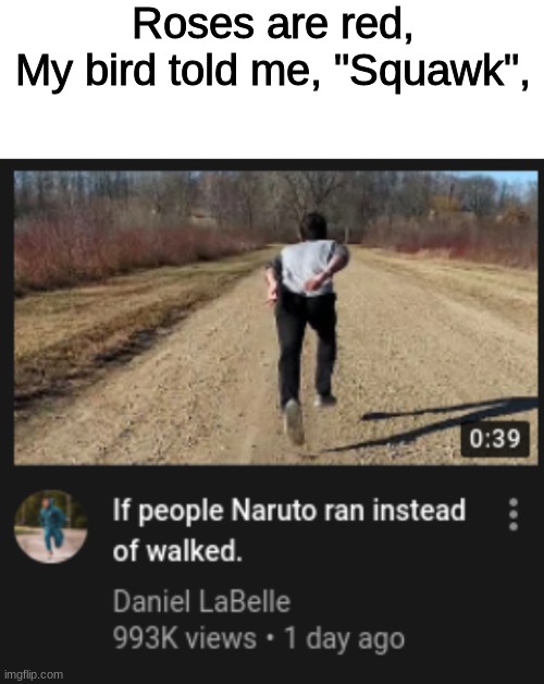 If people Naruto ran instead of walked. | Roses are red,
My bird told me, "Squawk", | image tagged in blank white template,youtube,lame,memes | made w/ Imgflip meme maker